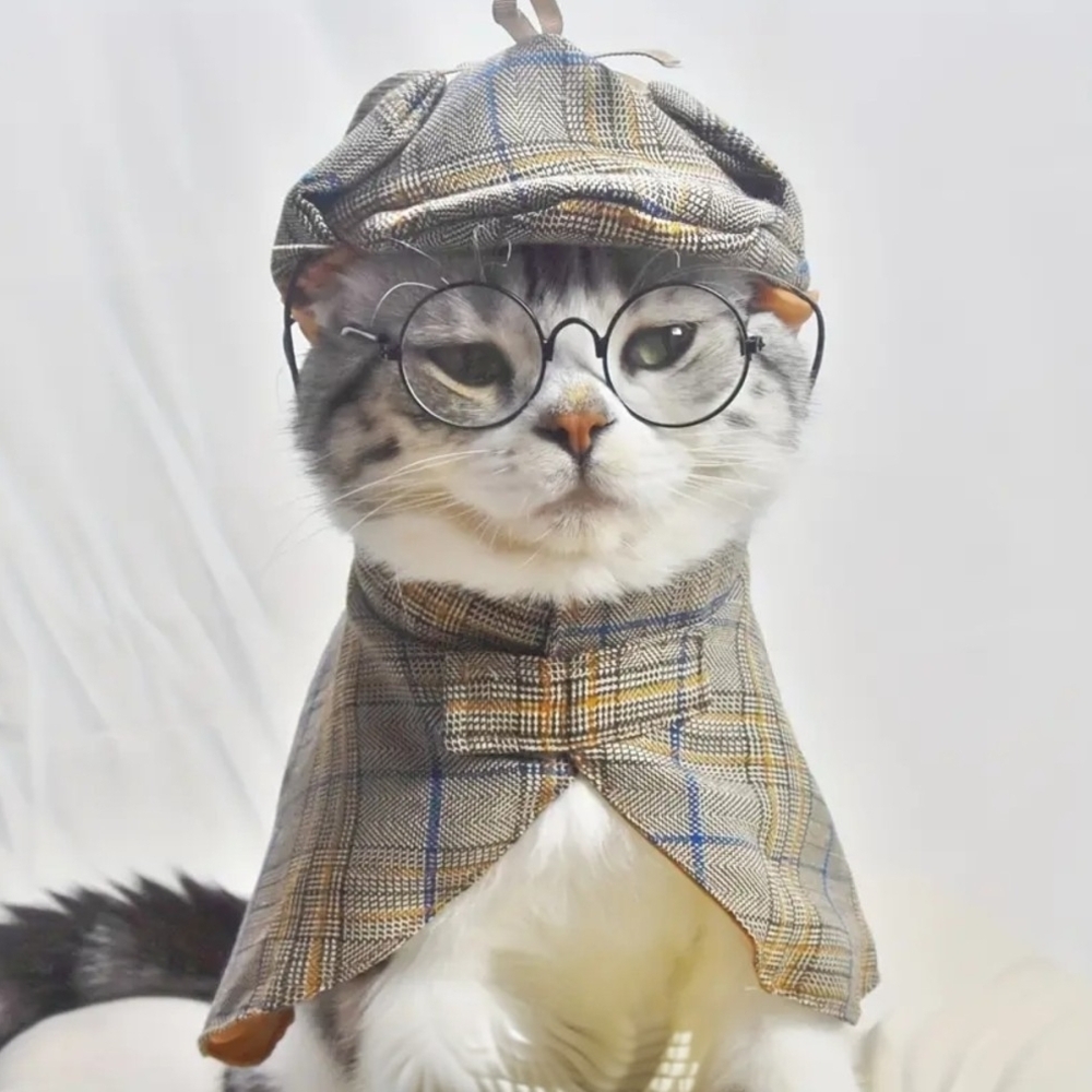Gray Plaid Cat Outfit with Hat and Cloak Size M